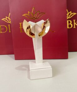 Brinco design