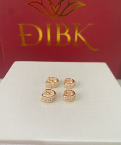 Duo de argolas cravejadas
