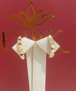 Brinco earhook spike