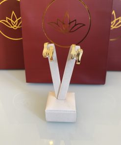 Brinco earhook mãos