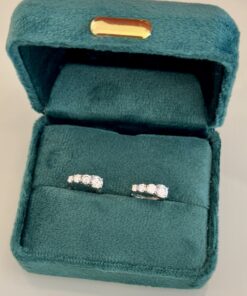 Brinco argola Moissanite