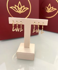 Brinco argola cravejado letra