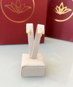 Brinco argola geométrica cravejada