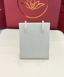 Brinco earhook cristal