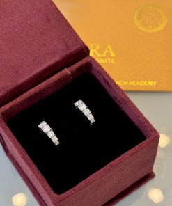 Brinco argola degradê moissanite